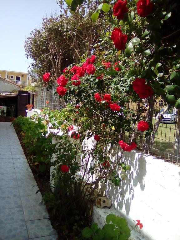 Tony'S Apartments Agios Georgios  Exterior photo